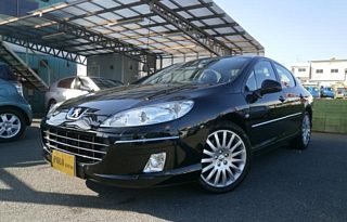 PEUGEOT 407 full