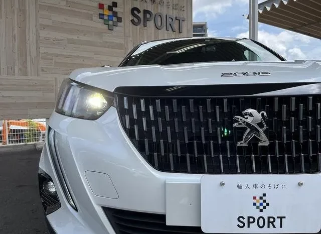 PEUGEOT 2008 2020 WHITE – GT full