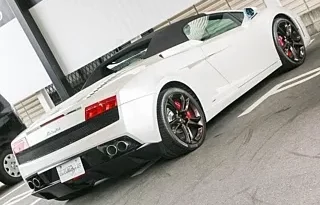 LAMBORGHINI GALLARDO SPYDER 2011 PEARL WHITE full