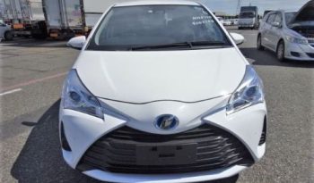 TOYOTA VITZ HYBRID F 2019 full