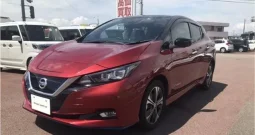 NISSAN LEAF 2019