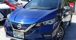 NISSAN LEAF 2019