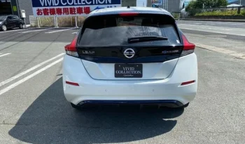 NISSAN LEAF 2019 full