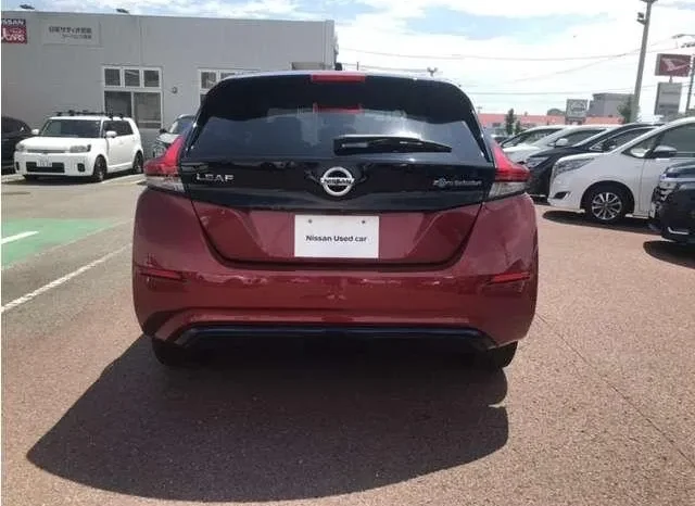 NISSAN LEAF 2019 full