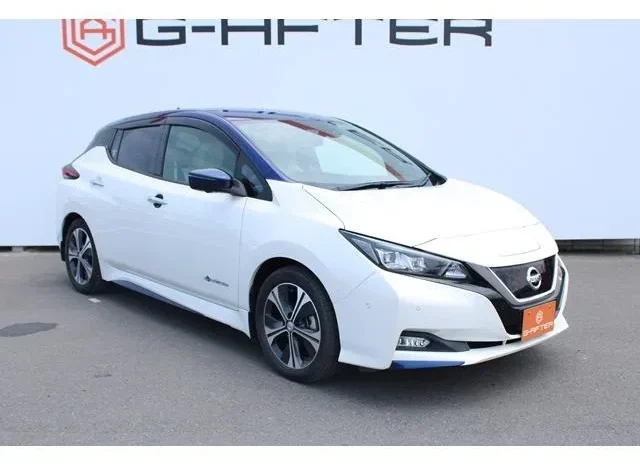 NISSAN LEAF 2017 full