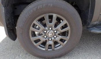 TOYOTA LAND CRUISER 250 2025 full